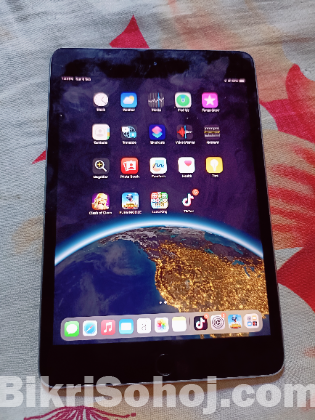 ipad mini 5